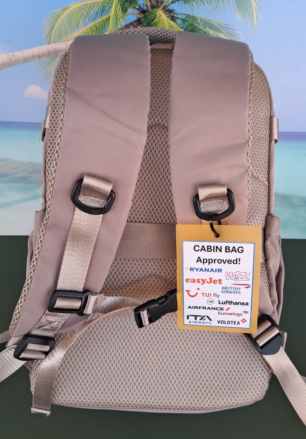 Zaino da Viaggio Bagaglio a Mano Ryanair 40 x 30 x 20 No Supplementi! No Extra Fees!